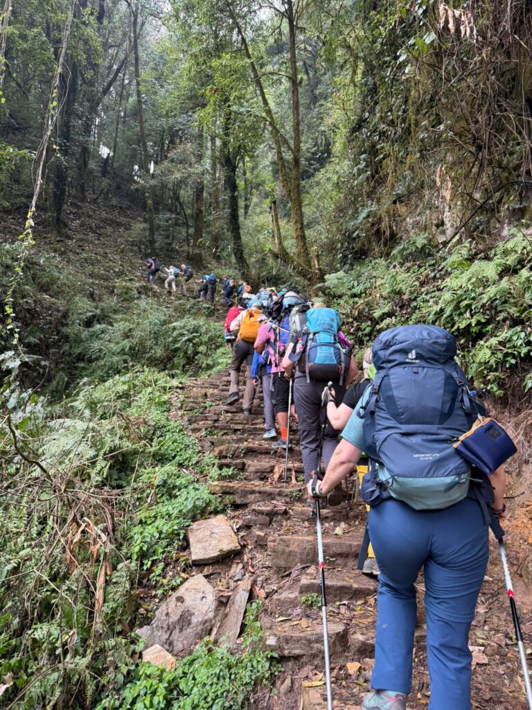 On the way to Forest Camp