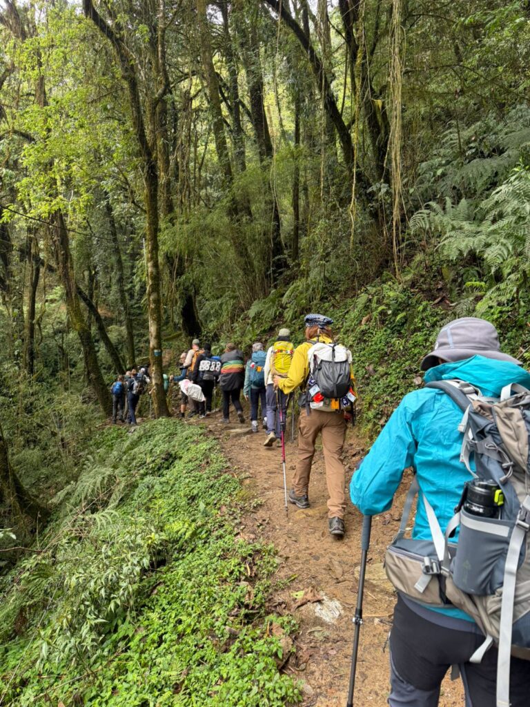 On the way to Forest Camp